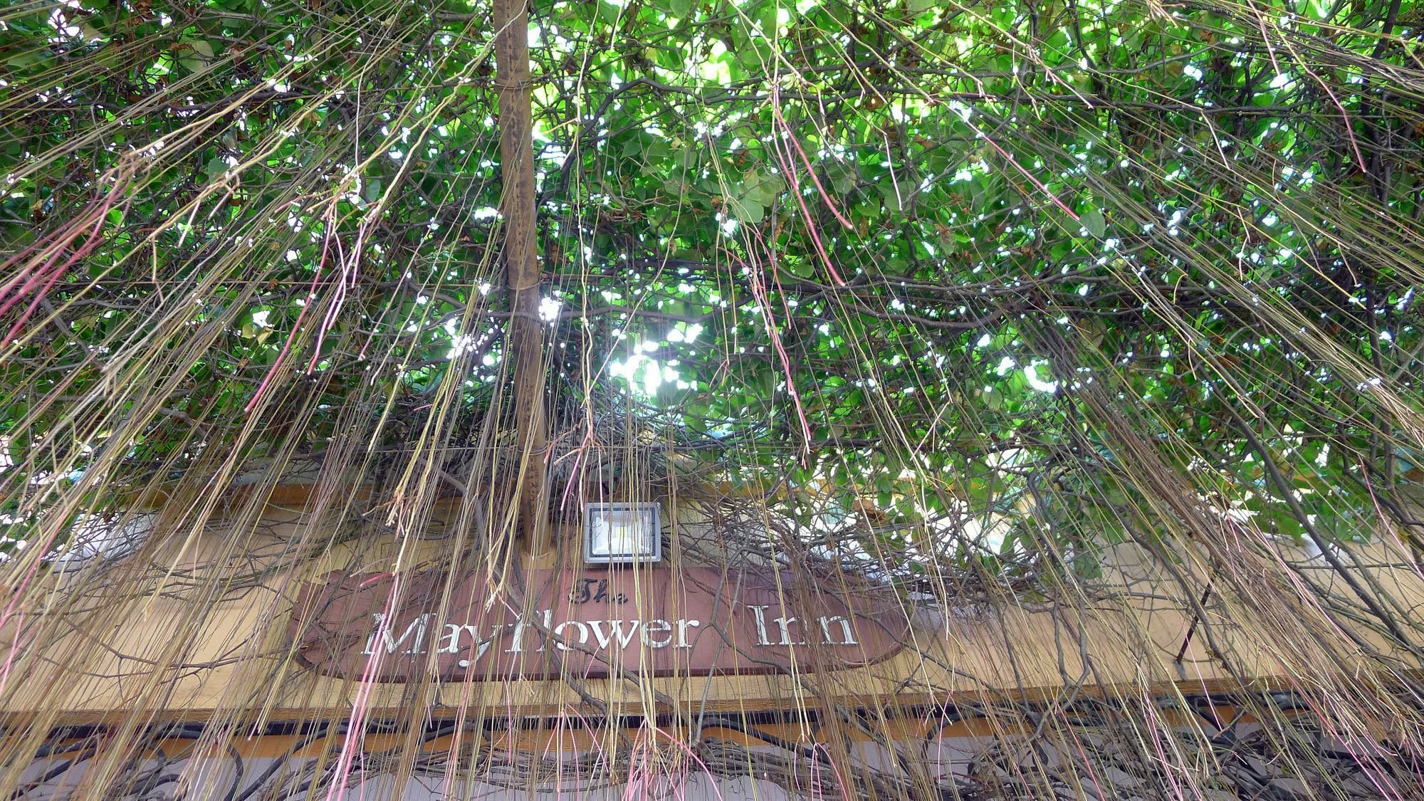 The Mayflower Inn Cebu Exterior foto